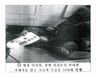 [단독] 목격자 김 일병 “윤 일병 배 지근지근 밟아…심폐소생술 말도 안돼” 