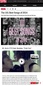가인 ‘Fxxk U’, 미국 스핀지 ‘2014년 최고의 노래 101곡’ 선정 
