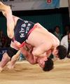 한국여자아이스하키 세계대회 최다골 승리