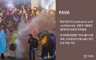 [한 장의 지식] PAVA