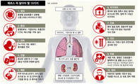 [그래픽 뉴스] ‘메르스 대란’, 당신이 꼭 알아야 할 10가지