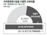 외화대출 혜택 대기업에 쏠렸다