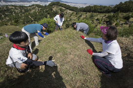 [포토] 추석 2주 앞으로…벌초객들로 붐비는 공원 묘역