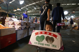 [포토] 손수레 타고 시장 구경