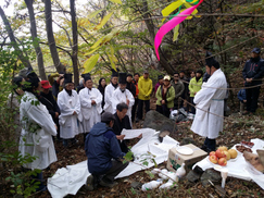 “방방곡곡 산삼밭 이뤘지만 ‘심봤다’ 외치지 못하는 이유”