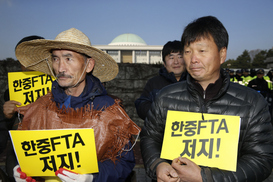 한-중FTA 이르면 연내 발효…농어민들은 불안