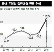 악화하는 가계부채의 질…집단대출, 또다른 뇌관 