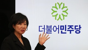 더민주, 정청래 지역구에 손혜원 전략공천