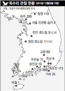 ‘겨울 진객’ 독수리 2천마리 찾아왔다
