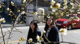 [날씨] “봄이 왔어요”…낮 최고 10∼18도 ‘포근’