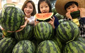 [포토] 벌써? 봄 수박이 왔어요 