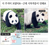 시 주석이 보냈어요…근데 적응이 필요해