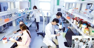 [요즘 뜨는 학과] 성균관대학교 글로벌바이오메디컬엔지니어링학과