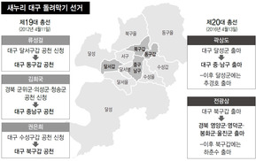 대구 ‘친박 돌려막기’…4년 전 ‘판박이’