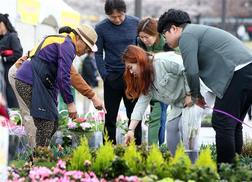 [포토] 분주해진 꽃시장 