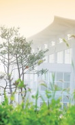 [요즘뜨는학과] 한국전통문화대학교 문화재관리학과