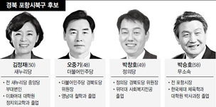 포항시장 경력, 여당 프리미엄보다 세나