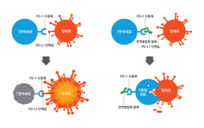 면역항암제, 3세대 항암제로 주목…부작용·고비용은 문제