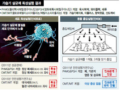 쥐에 문제없다고 인체 무해?…가습기메이트 ‘면죄부’