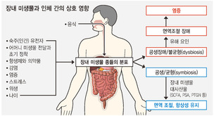 인체 미생물 39조 개, 세포의 1.3배