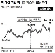 트럼프의 ‘입’ 신흥시장에 재앙…미 금리인상 미뤄질까