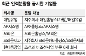 잇단 인적분할…대기업이 바라는 건 ‘자사주의 마법’