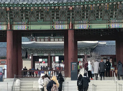 [단독] “경찰, 세월호 리본 단 경복궁 관람객 CCTV 감시·미행 했다”