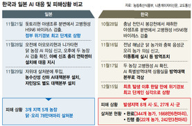 AI 전국 초토화…‘늑장 방역’에 세질 대로 세진 바이러스