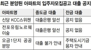 [단독] 건설사 “아파트 잔금 대출 나몰라라”… 계약자 피해 우려