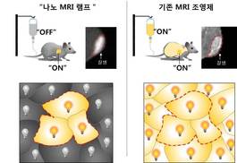 병든 세포만 찍는 ‘족집게 MRI 램프’ 개발