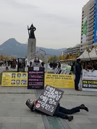 춤꾼 총출동 ‘다음주 블랙텐트는 춤 주간’