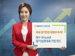 NH투자증권, NH-Amundi 장기성장 대표기업 펀드 추천