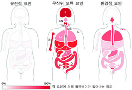 암은 운명? “환경·유전보다 우연히 걸릴 확률이 높다”