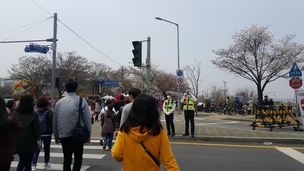 기다리던 벚꽃은 피었지만…상춘객 코·입 막는 ‘불청객’ 미세먼지