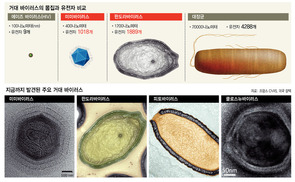 세포 닮은 거대 바이러스  제4 생명? 유전자 도둑?