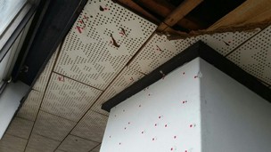 “5·18 때 헬기 기관총 사격 가능성” 국가기관 첫 인정