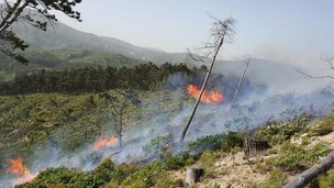 더 오래, 더 크게, 더 자주…산불의 패러다임이 바뀌고 있다