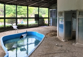 초보 두루미 부모의 시련…부화에 성공할까