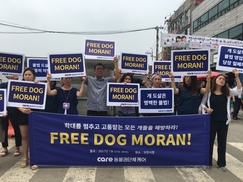 동물권단체 케어 “고통받는 개들을 해방하라” 
