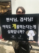 동물보호단체들이 복날에 서초동 법조타운으로 몰려간 이유