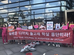 동물보호단체 “일본 다이지 고래사냥 중단하라”