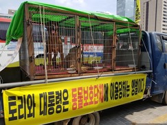 [영상] “식용견과 반려견이 같다고요???”