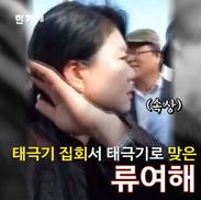 [영상] 태극기 집회서 태극기에 맞아 울음 터뜨린 류여해 