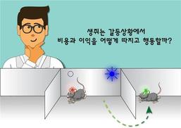 오래 잘살기 위해 생쥐는 ‘경쟁 대신 이것’ 택한다