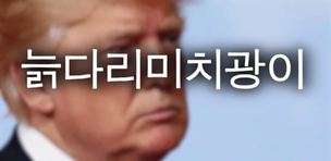 ‘늙다리 미치광이’ ‘멍청이’…속된 단어에 점령된 2017년 미국