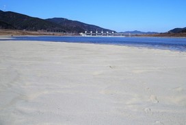 낙동강 재자연화 어떻게 할 것인가?
