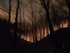 부산 기장군 삼각산에서 산불…“소방헬기 투입해 진화 중”