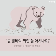 [카드뉴스] ‘곰 발바닥 와인’을 아시나요?