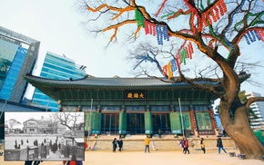 성문 총무부장 하루만에 사퇴…조계종 분란 점입가경