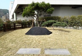 고 윤이상 선생, 통영 바닷가 언덕에 안장 